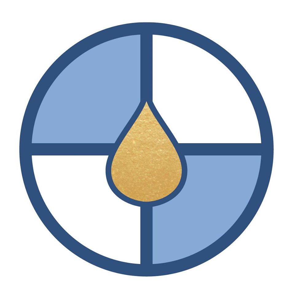 Nordic Shield Hand Sanitizer logo

