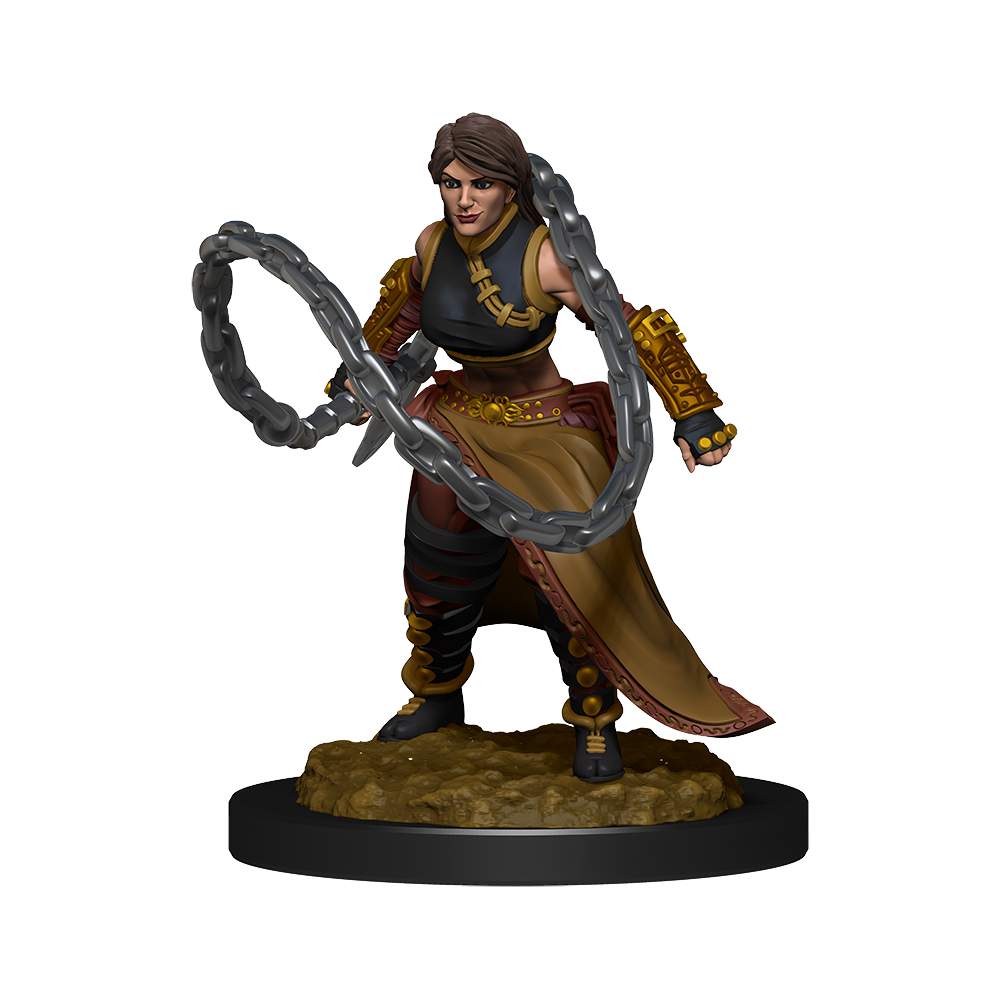 monk dnd figure